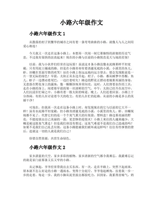 小路六年级作文