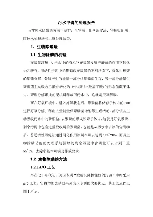污水中磷的处理报告