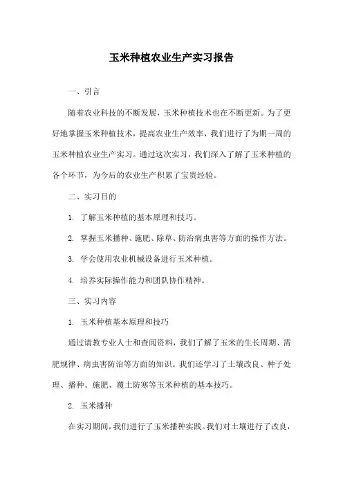 玉米种植农业生产实习报告