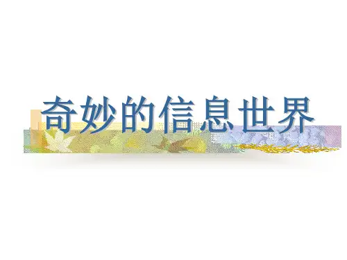 《奇妙的信息世界》