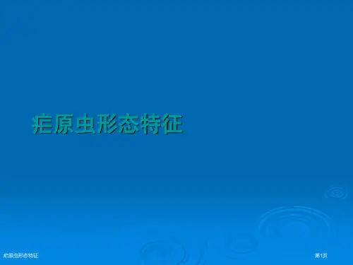 疟原虫形态特征