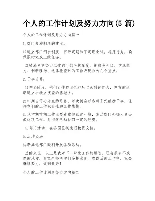 个人的工作计划及努力方向(5篇)