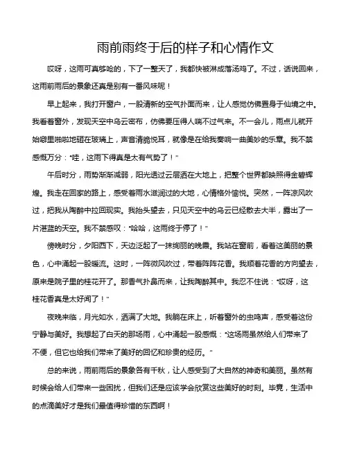 雨前雨终于后的样子和心情作文