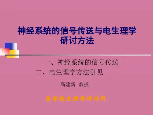 神经系统的信号传递与电生理学研究方法ppt课件