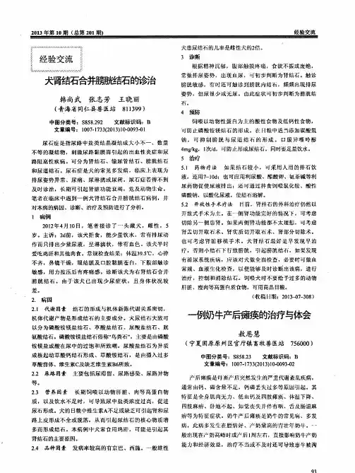 犬肾结石合并膀胱结石的诊治