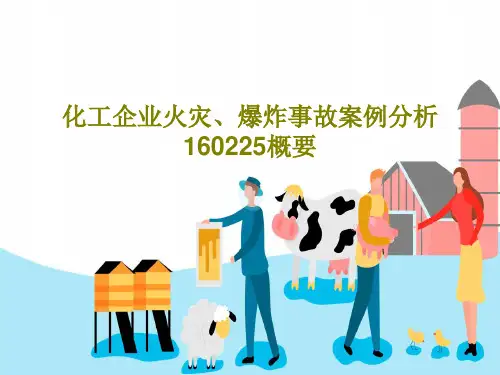 化工企业火灾、爆炸事故案例分析 160225概要共74页文档