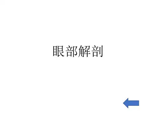 眼部解剖