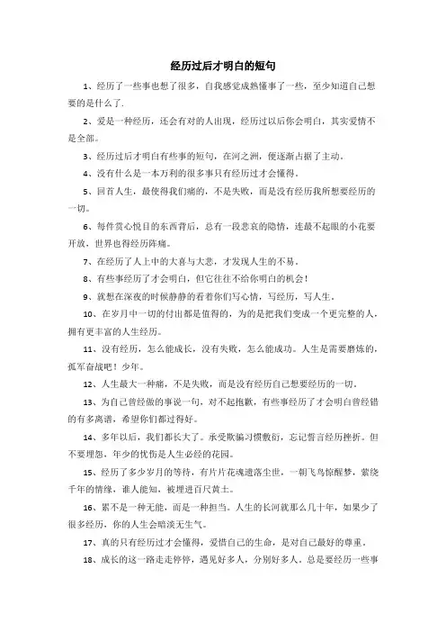 经历过后才明白的短句