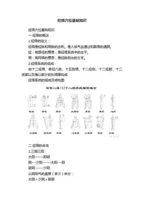 经络穴位基础知识