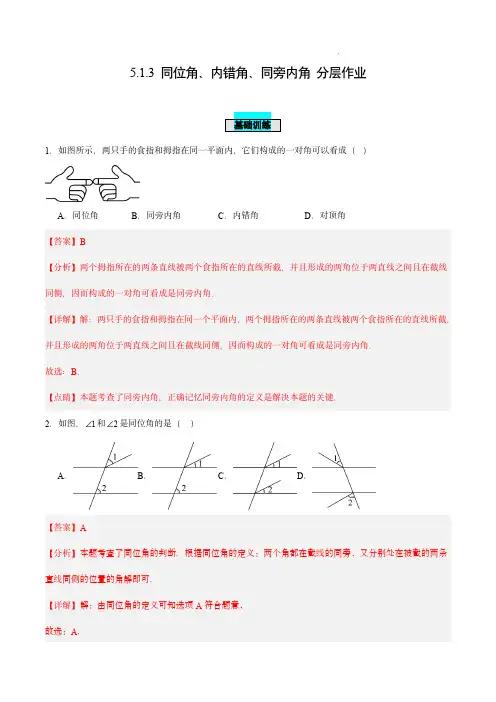  同位角、内错角、同旁内角(分层作业)【解析版】