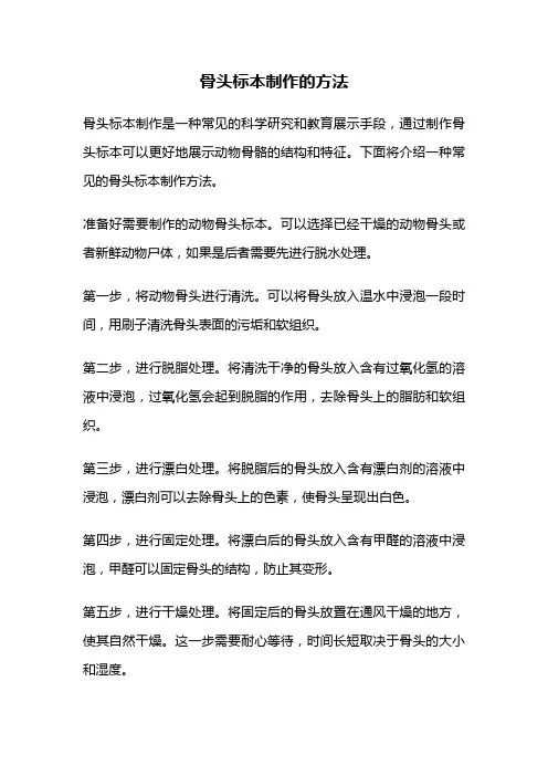 骨头标本制作的方法