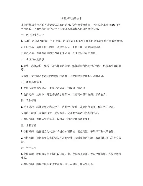 水稻好氧栽培技术