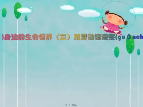 教科版六年级下册科学《用显微镜观察身边的生命世界(三)》课件3