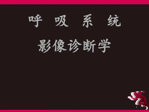 呼吸系统影像诊断  ppt课件