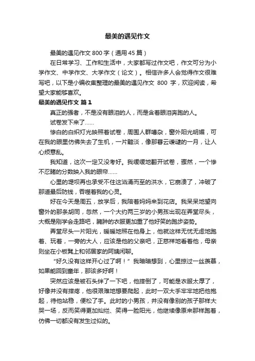 最美的遇见作文