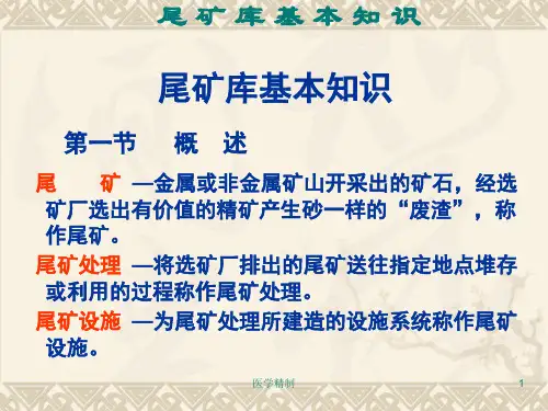 尾矿库基本知识(内容详细)