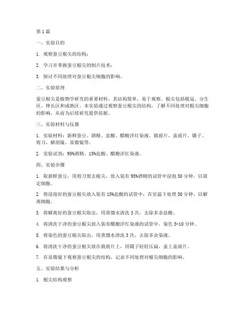 蚕豆的根尖实验报告(3篇)
