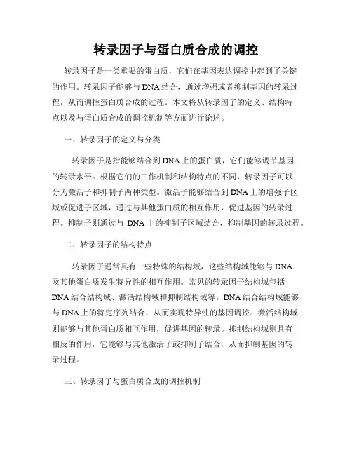 转录因子与蛋白质合成的调控