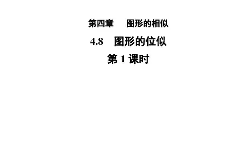 4.8《图形的位似》第1课时 数学北师大版 九年级上册教学课件