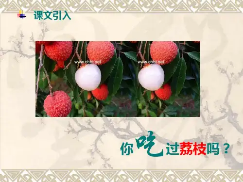 10.《南州六月荔枝丹》ppt课件(55页)