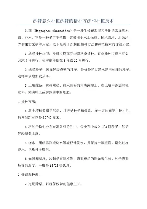 沙棘怎么种植沙棘的播种方法和种植技术
