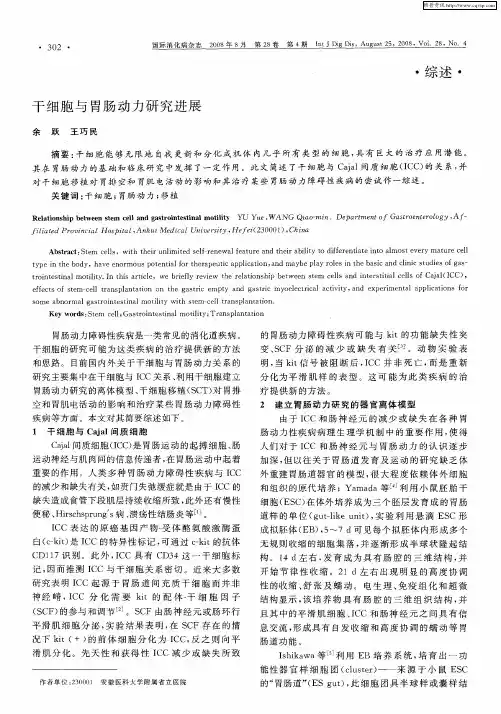 干细胞与胃肠动力研究进展