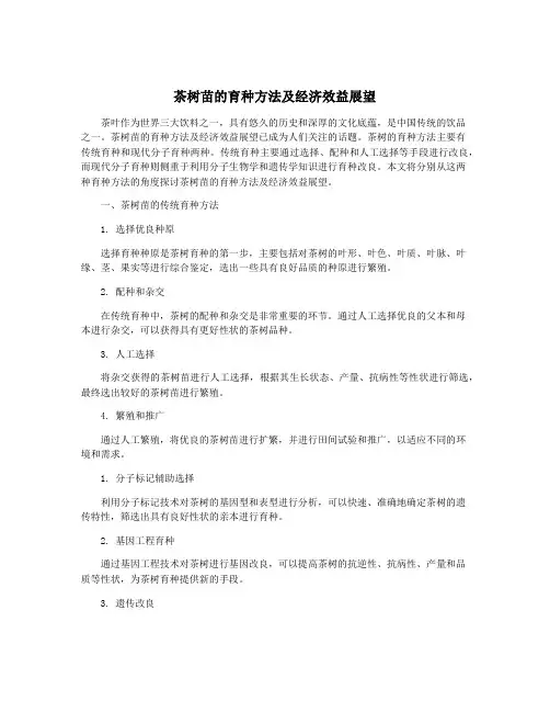 茶树苗的育种方法及经济效益展望