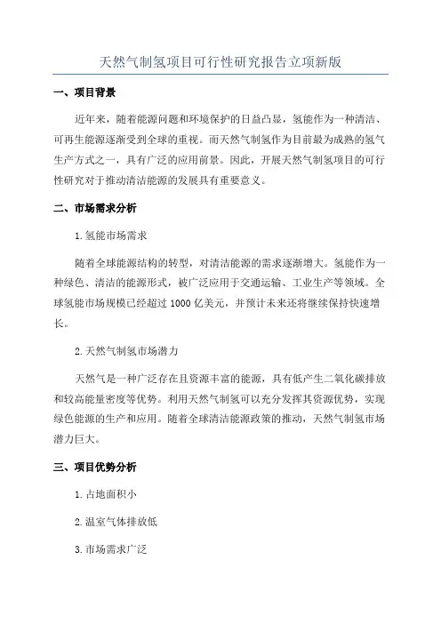 天然气制氢项目可行性研究报告立项新版