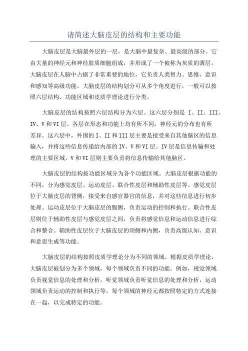 请简述大脑皮层的结构和主要功能