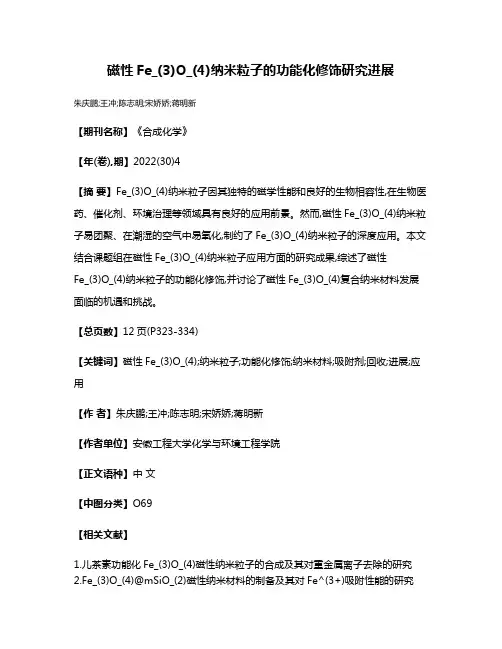 磁性Fe_(3)O_(4)纳米粒子的功能化修饰研究进展