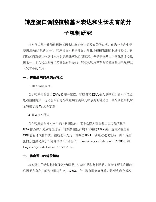 转座蛋白调控植物基因表达和生长发育的分子机制研究