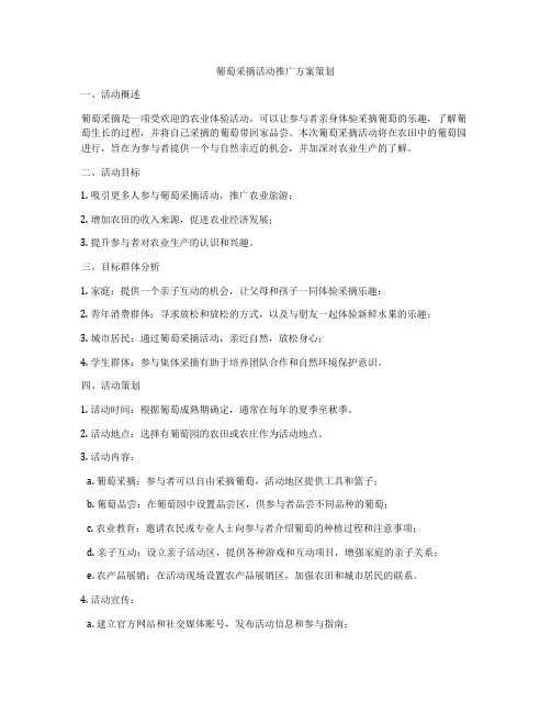 葡萄采摘活动推广方案策划