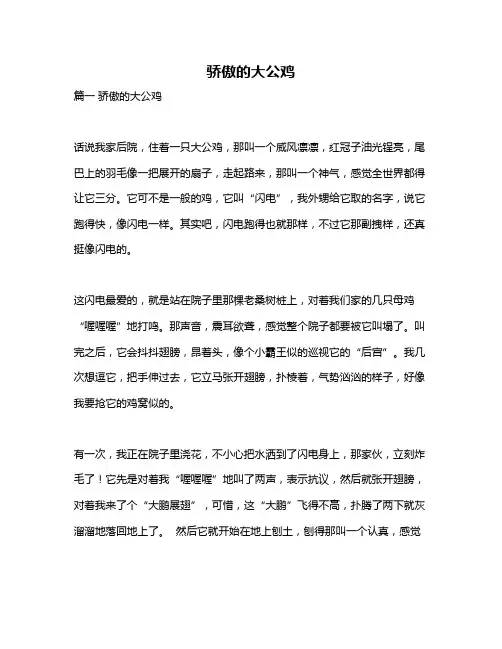 作文《骄傲的大公鸡》