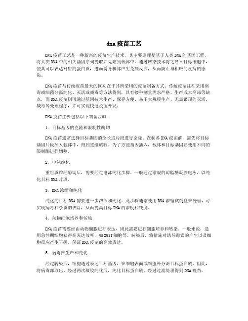 dna疫苗工艺