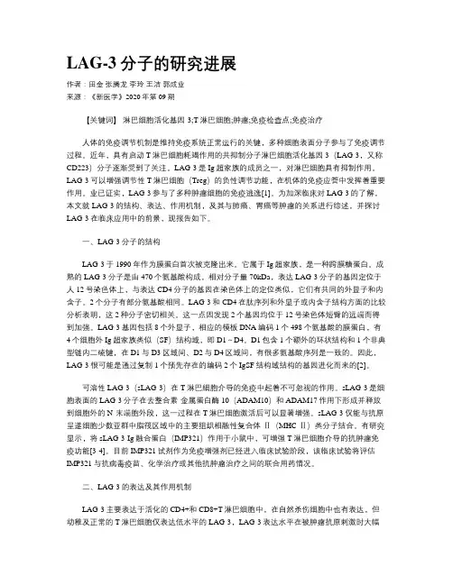 LAG-3分子的研究进展