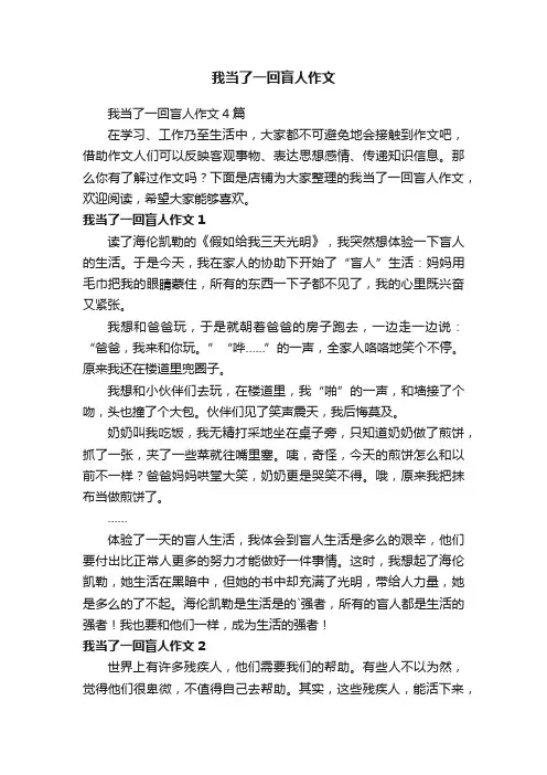 我当了一回盲人作文