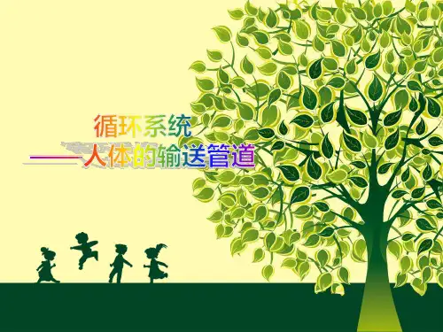 学前儿童卫生与保育 第二节  循环系统
