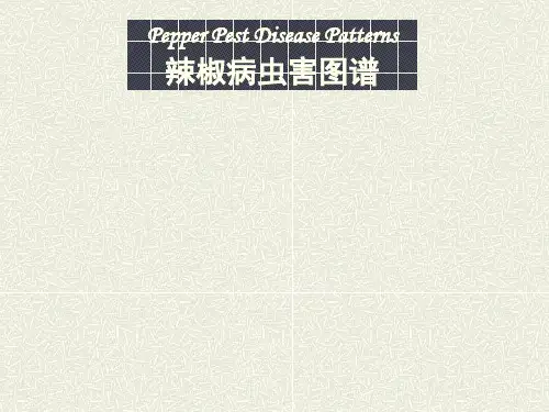 茄科作物病害图谱