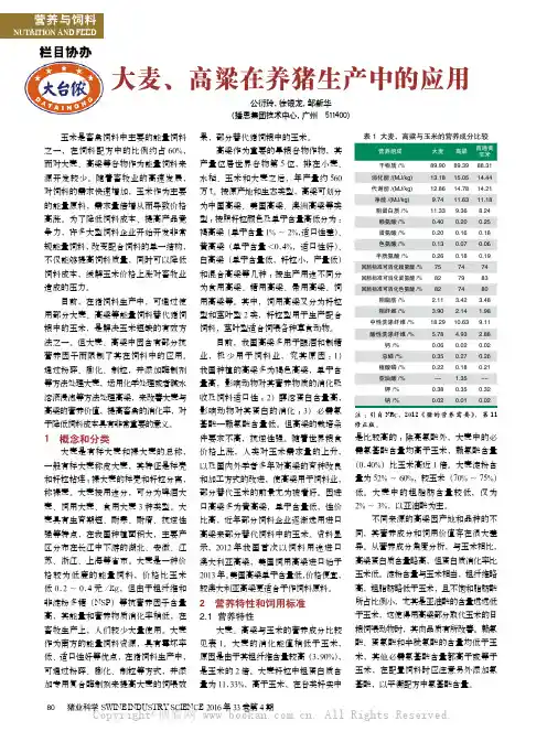 大麦、高粱在养猪生产中的应用