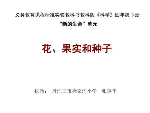小学科学花、果实和种子(201908)