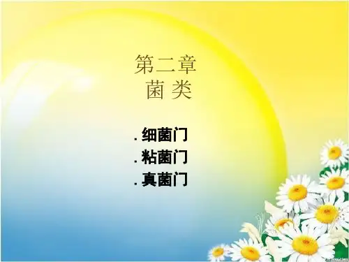 植物学-第二章菌类ppt课件