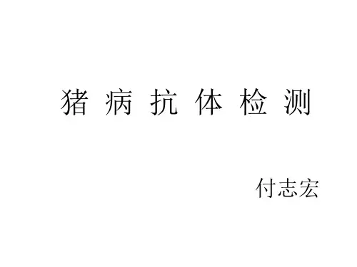 猪病抗体检测