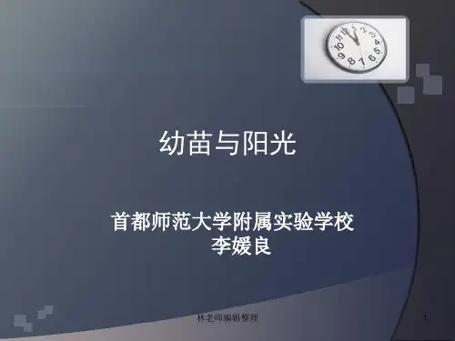 首师大小学科学六上《5.幼苗与阳光》PPT课件