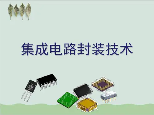 集成电路封装技术-封装工艺流程介绍PPT课件(123页)