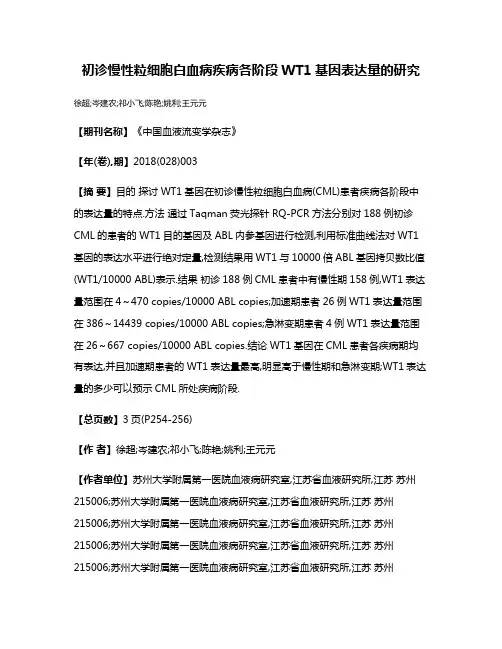 初诊慢性粒细胞白血病疾病各阶段WT1基因表达量的研究