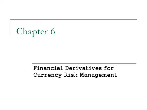 国际金融英文版本CH6资料