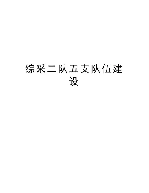 综采二队五支队伍建设教学文稿