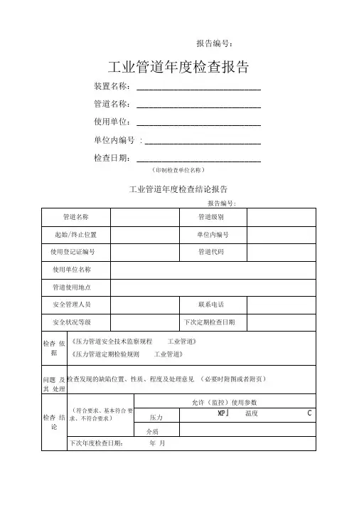 工业管道年度检查报告