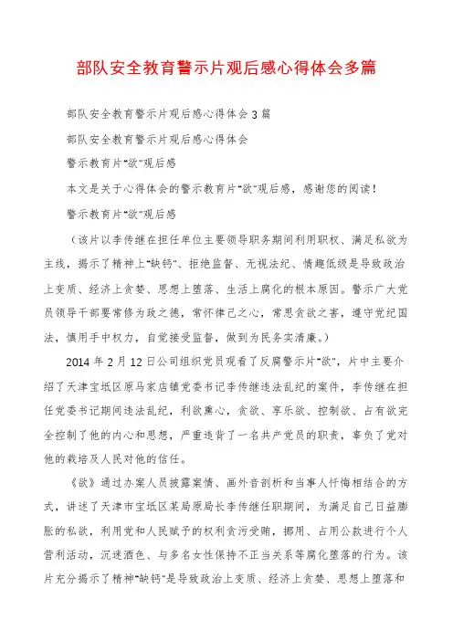 部队安全教育警示片观后感心得体会多篇