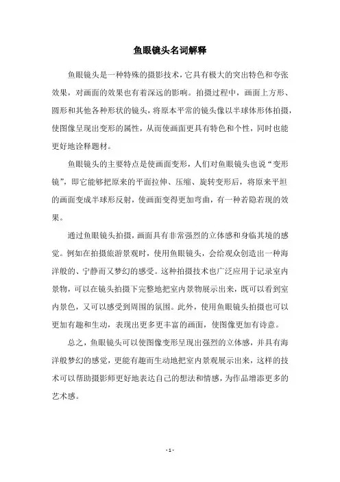 鱼眼镜头名词解释